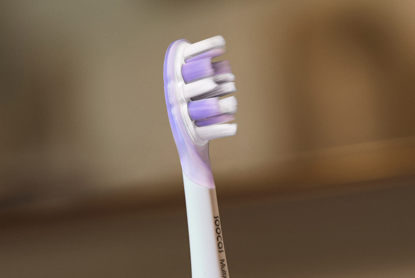 brush head