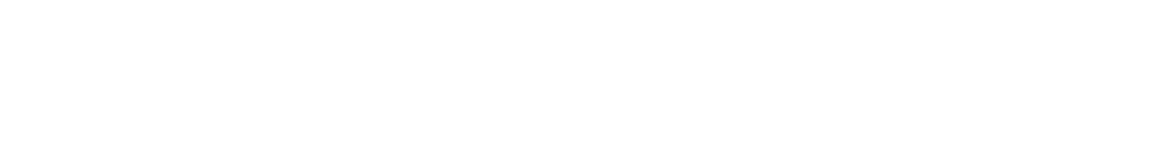 section logo